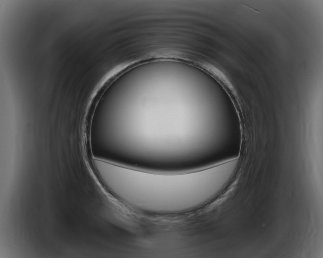 X0000086731133200704130741