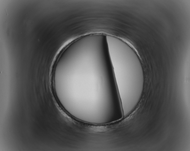 X0000086731135200704130741