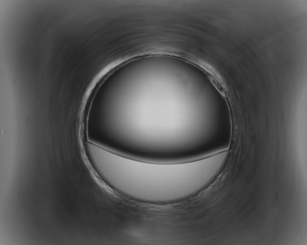 X0000086731136200704130741