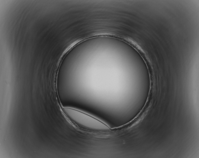 X0000086731137200704130741