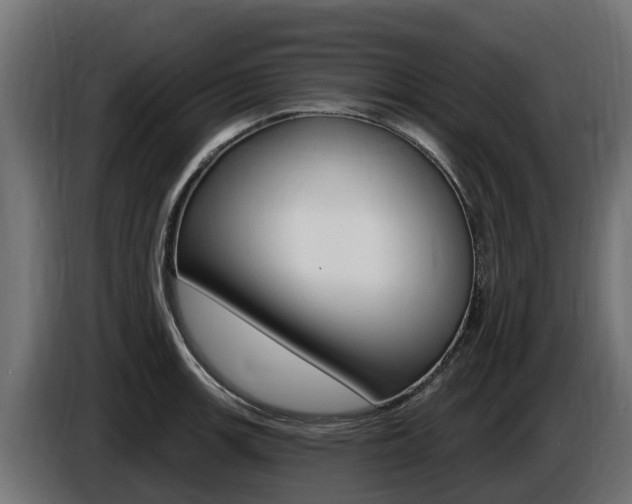X0000086731139200704130742