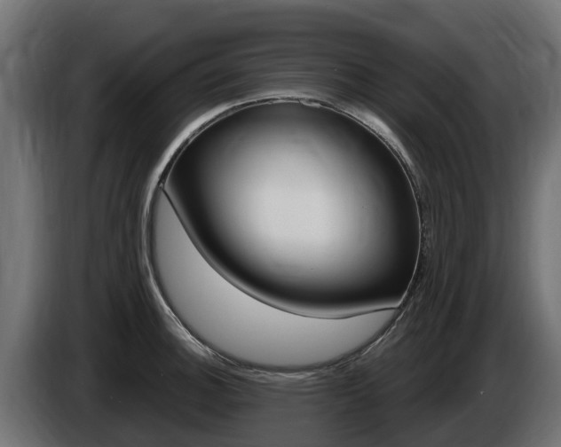 X0000086731140200704130742
