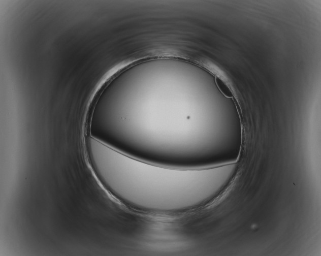 X0000086731141200704130742