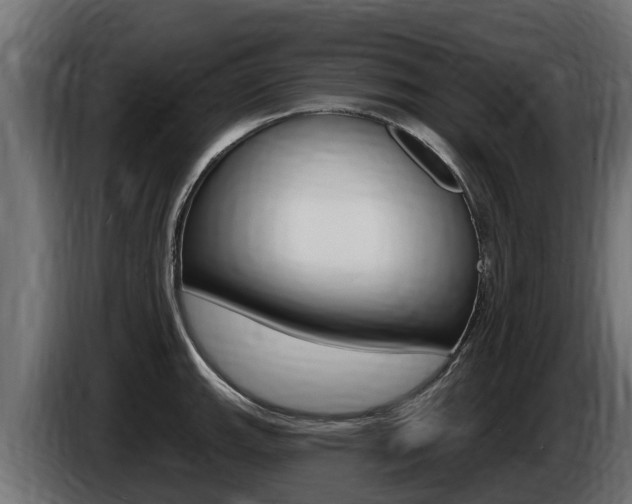X0000086731143200704130742