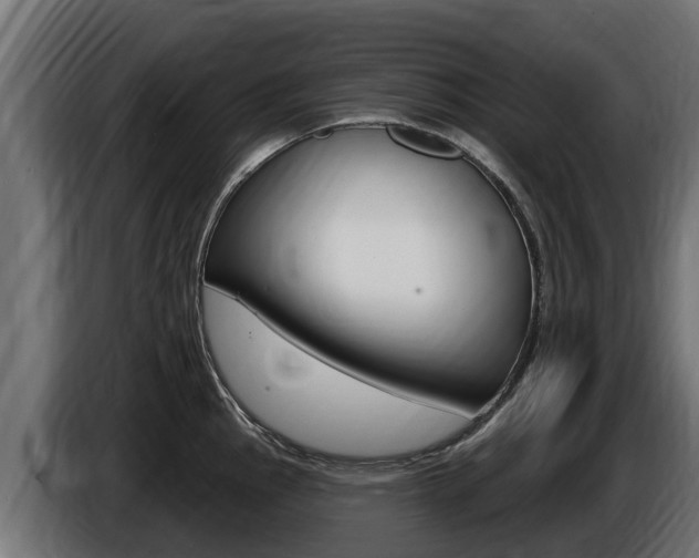 X0000086731145200704130742