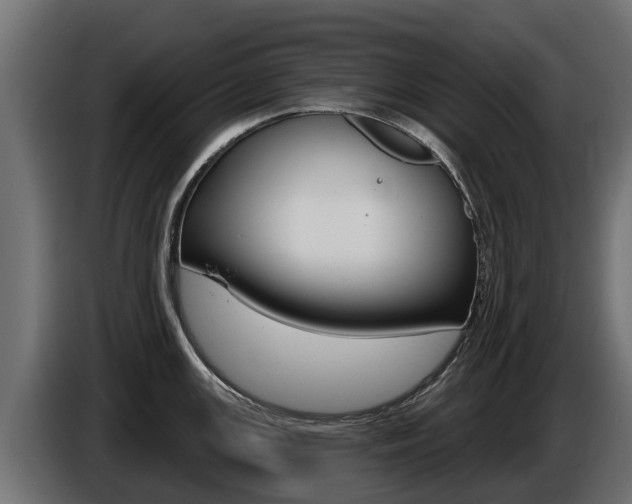 X0000086731147200704130742