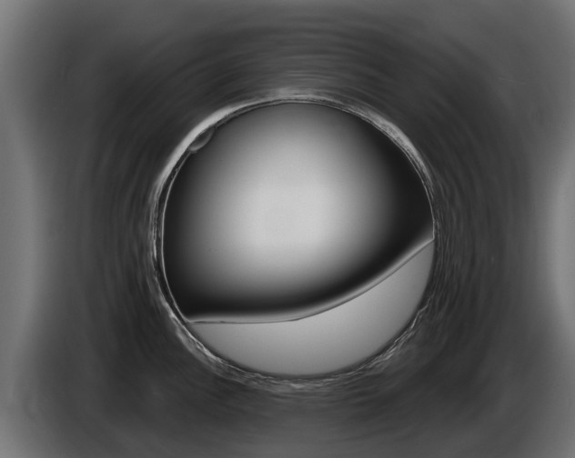 X0000086731148200704130742