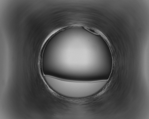 X0000086731149200704130742