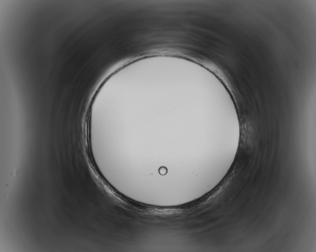 X0000086731150200704130742