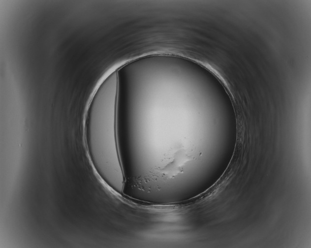 X0000086731151200704130742