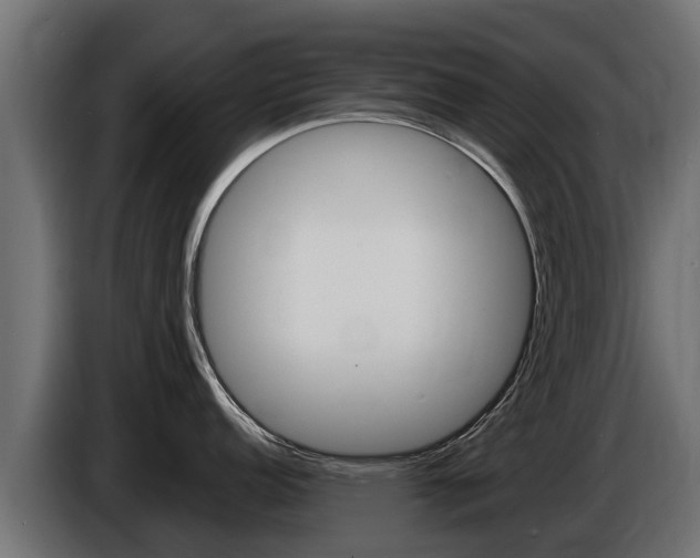 X0000086731152200704130742