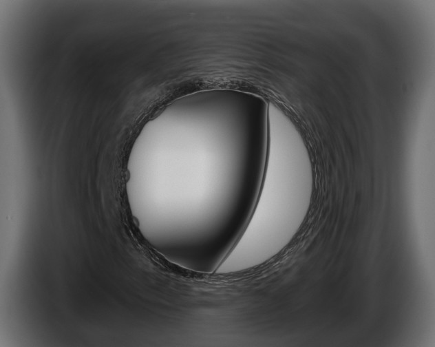 X0000086731153200704130741