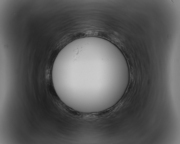 X0000086731154200704130741