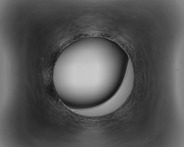 X0000086731157200704130741