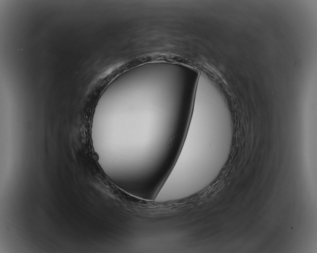 X0000086731159200704130741
