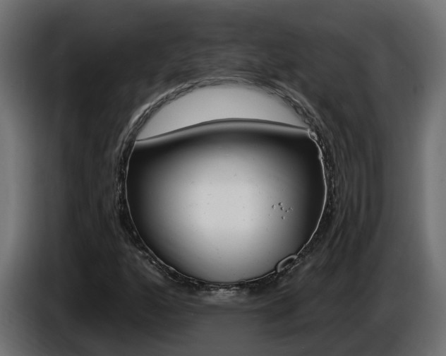X0000086731160200704130741