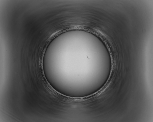 X0000086731161200704130741