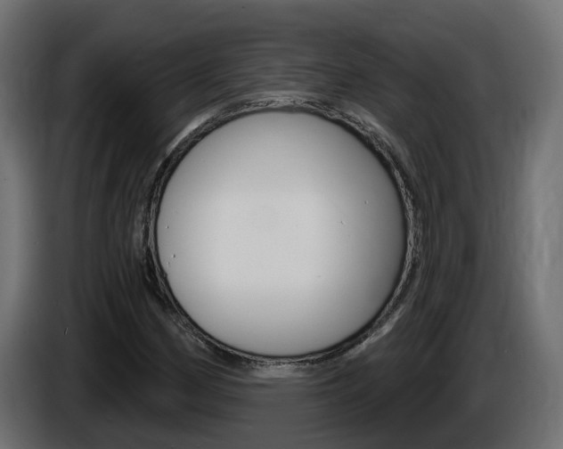 X0000086731162200704130741