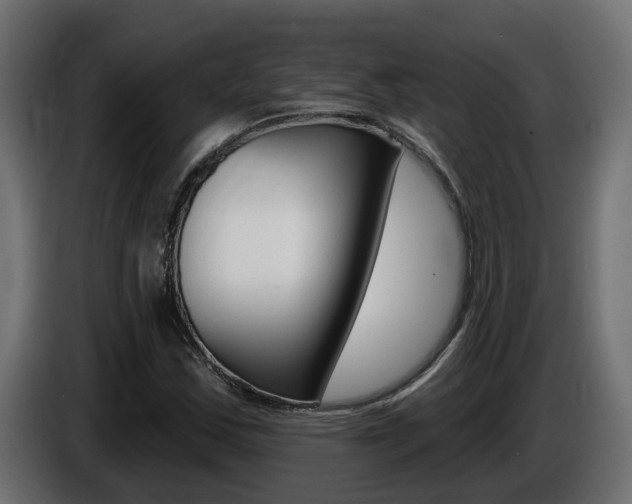 X0000086731163200704130741