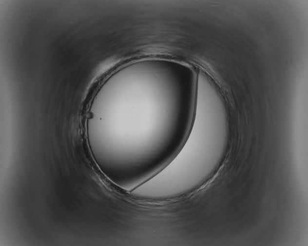 X0000086731164200704130741