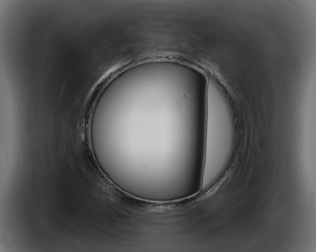 X0000086731165200704130741