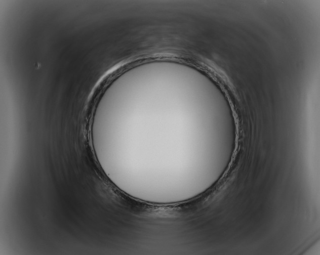 X0000086731166200704130741