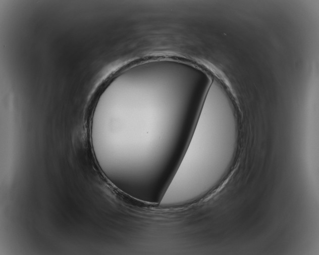 X0000086731167200704130741