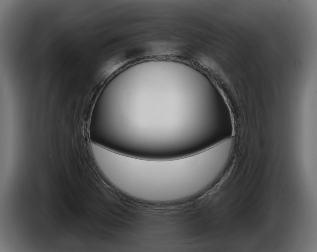 X0000086731169200704130741