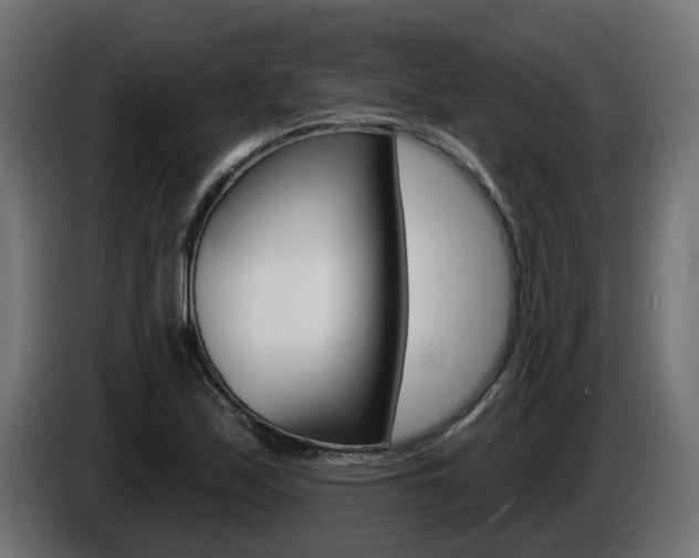 X0000086731171200704130741