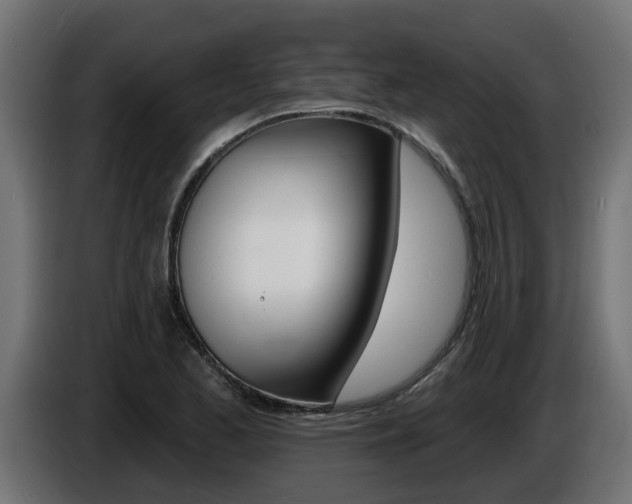 X0000086731173200704130741