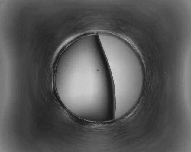 X0000086731175200704130741