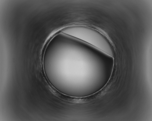 X0000086731176200704130741