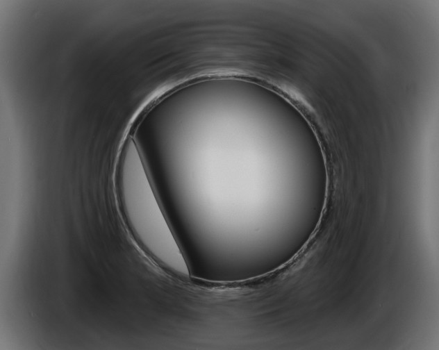 X0000086731181200704130741