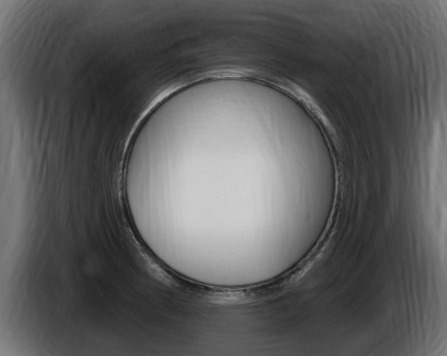 X0000086731186200704130741