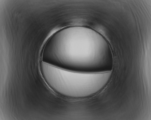 X0000086731187200704130741
