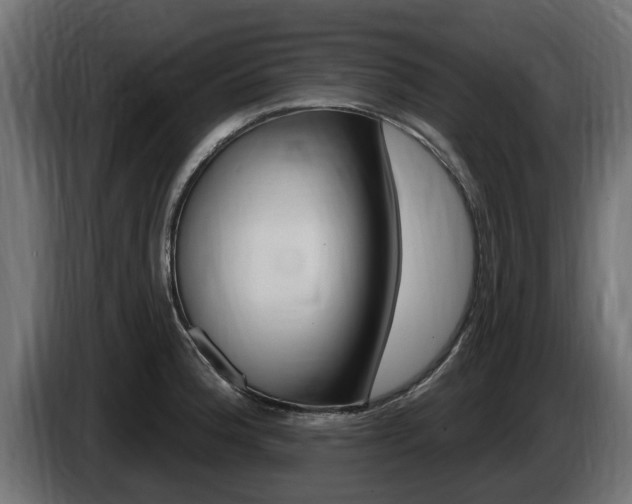 X0000086731188200704130741