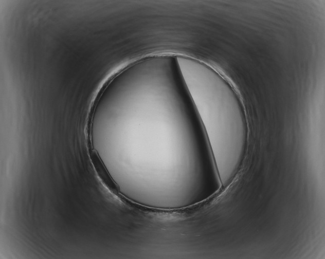 X0000086731189200704130741