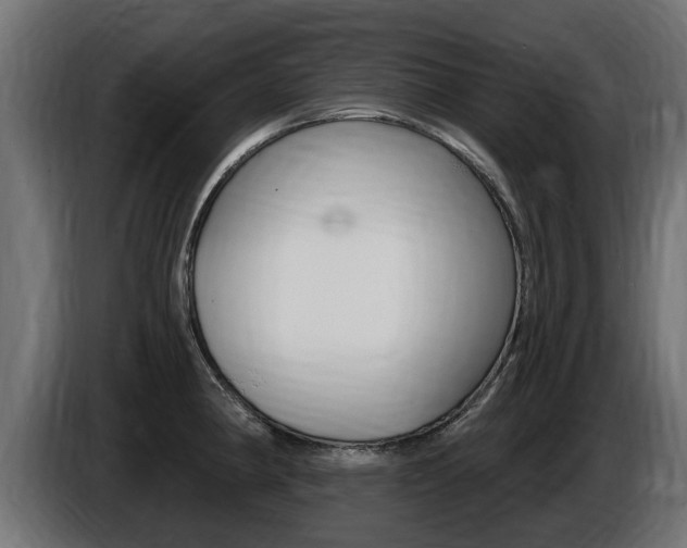 X0000086731190200704130741