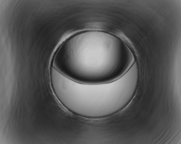 X0000086731192200704130741