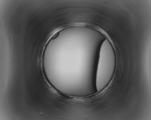 X0000086731194200704130741