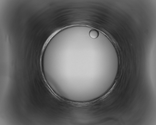 X0000086731196200704130741