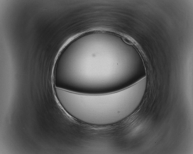 X0000086731199200704130741