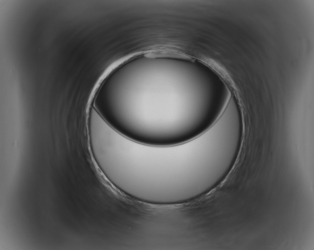 X0000086731200200704130741