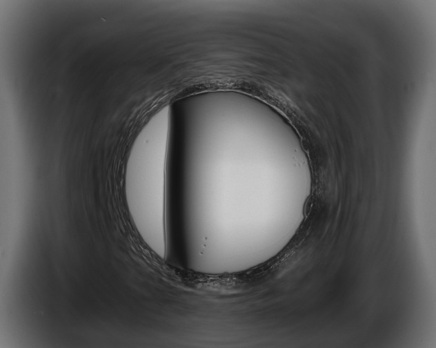 X0000086731201200704130740