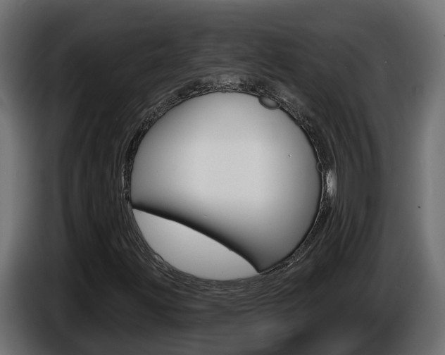 X0000086731203200704130740
