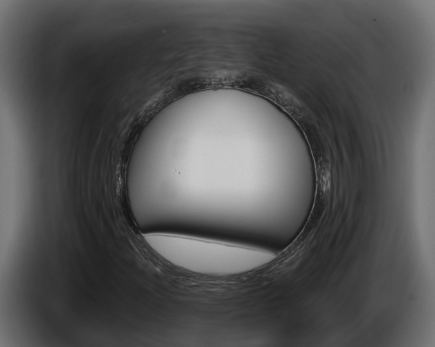 X0000086731204200704130740