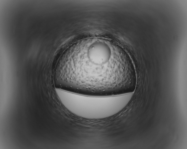 X0000086731205200704130740