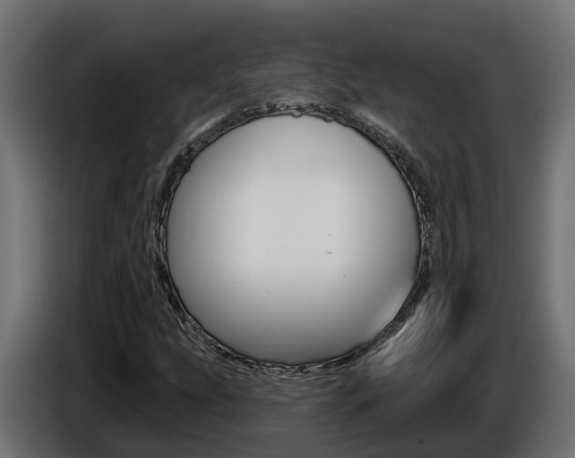 X0000086731207200704130740