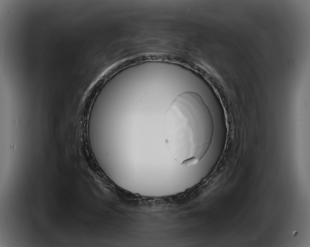 X0000086731208200704130740