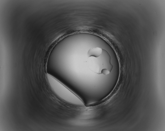 X0000086731209200704130740